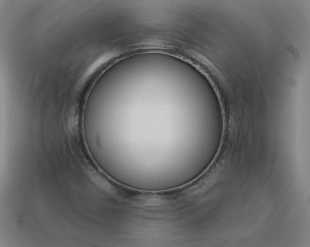 X0000113921450200910090926