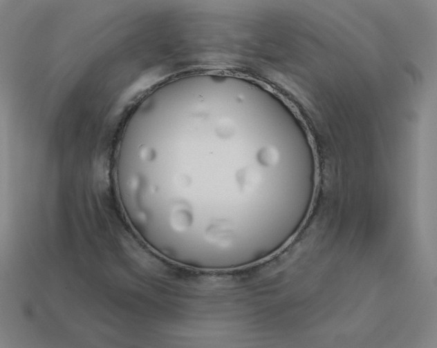 X0000113921451200910090926