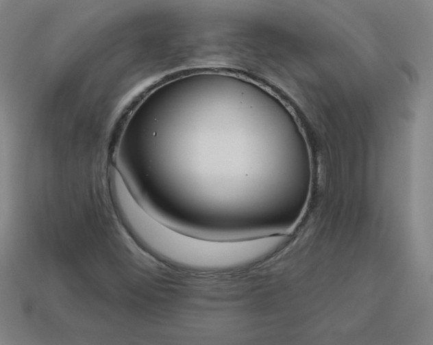 X0000113921452200910090926