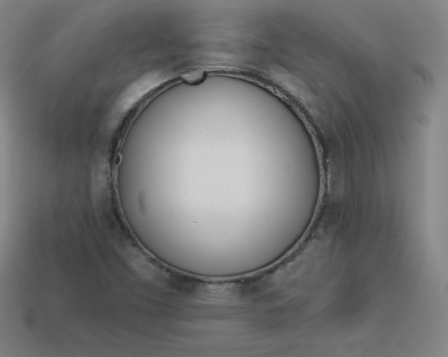 X0000113921453200910090926