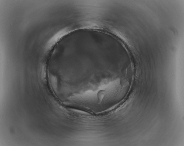 X0000113921455200910090926