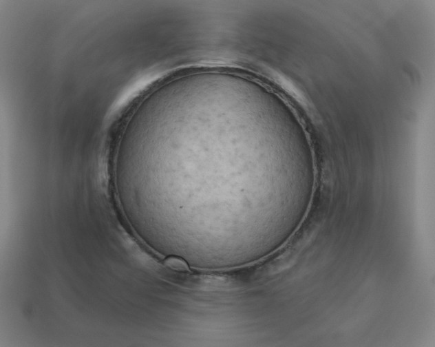 X0000113921456200910090926