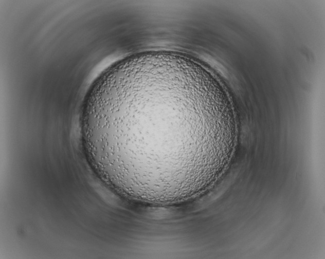 X0000113921458200910090926