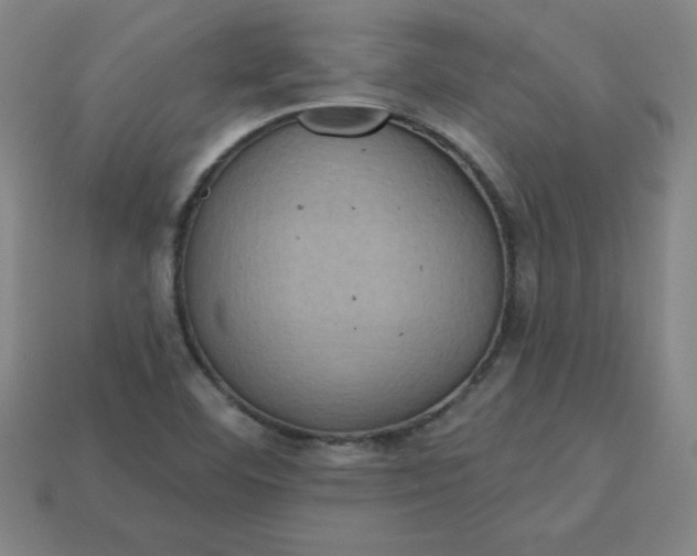 X0000113921460200910090926