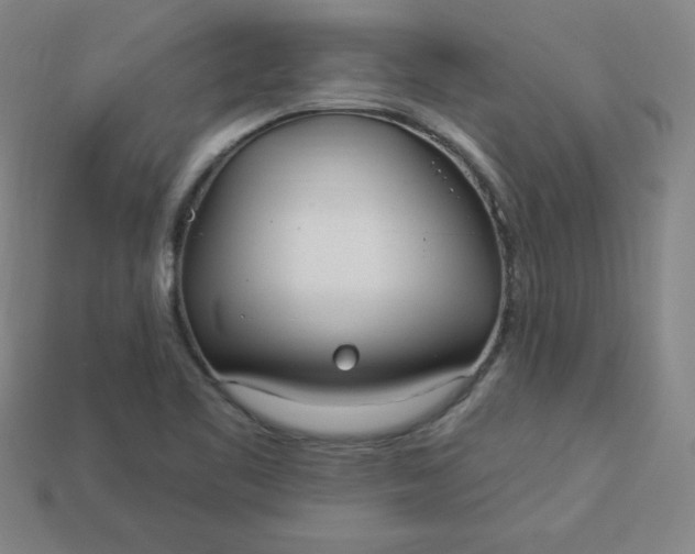 X0000113921461200910090926
