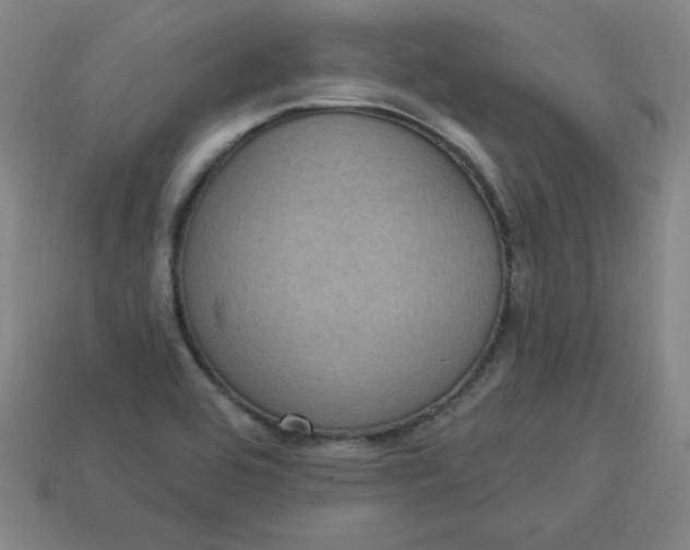 X0000113921464200910090926