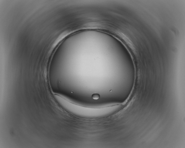 X0000113921465200910090926