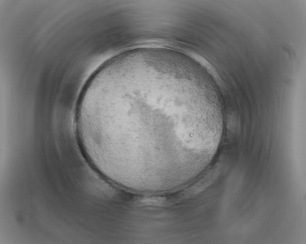X0000113921466200910090926