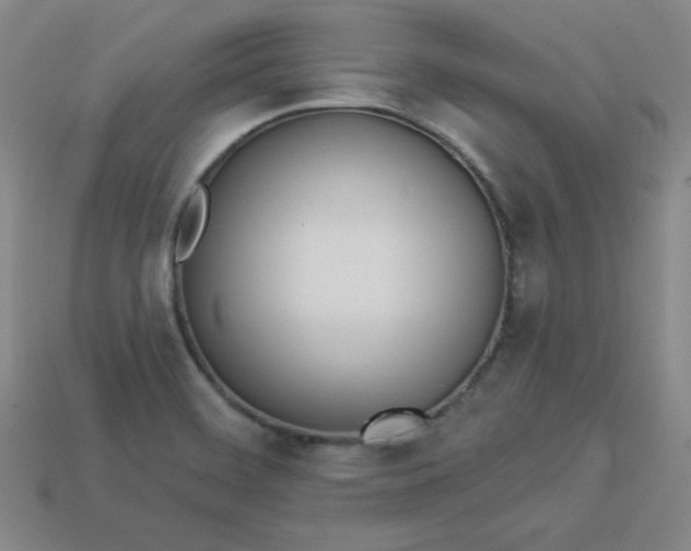 X0000113921468200910090926