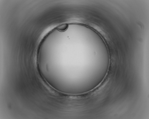 X0000113921469200910090926