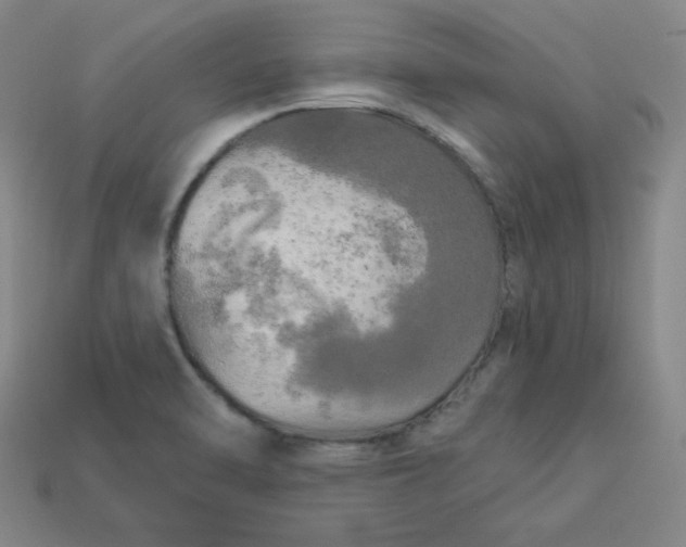 X0000113921470200910090926