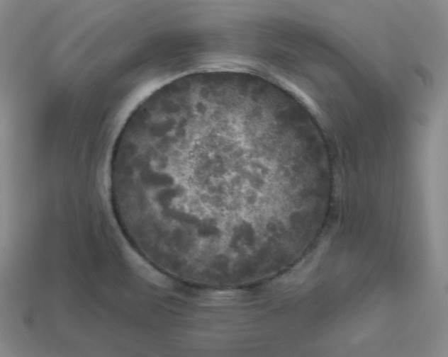 X0000113921471200910090926