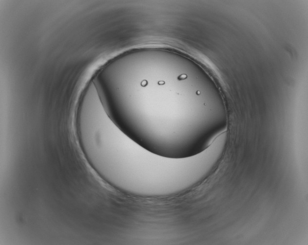 X0000113921472200910090926