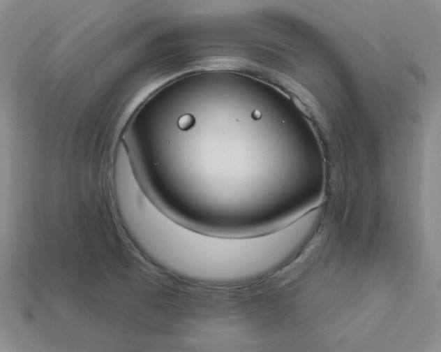 X0000113921473200910090926