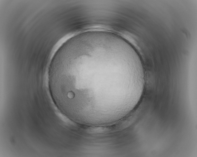 X0000113921474200910090926