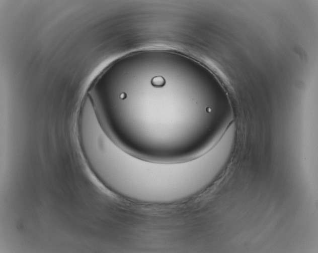X0000113921476200910090926