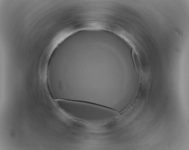 X0000113921477200910090926