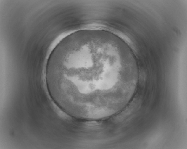 X0000113921478200910090926