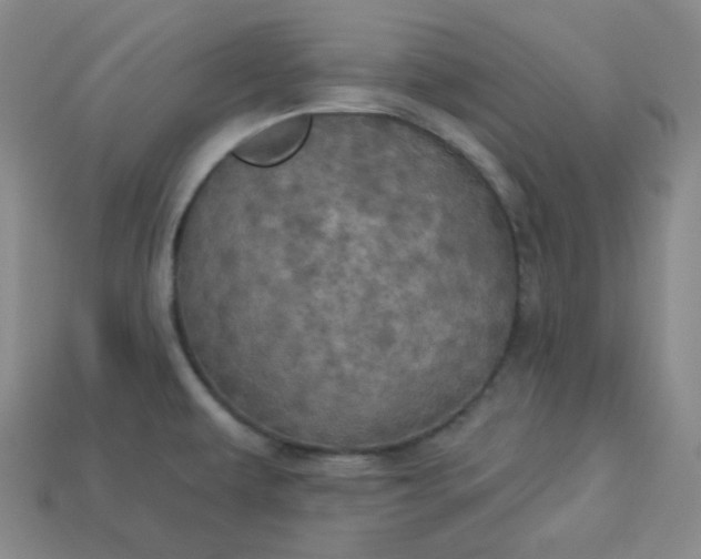 X0000113921479200910090926