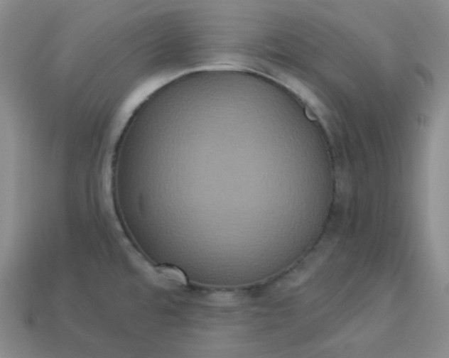X0000113921480200910090926