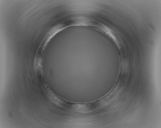 X0000113921481200910090926