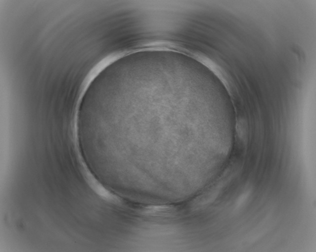 X0000113921482200910090926