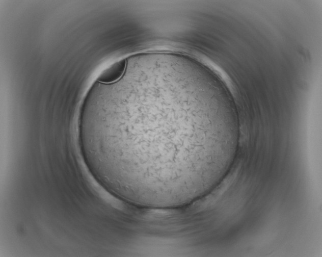 X0000113921483200910090926