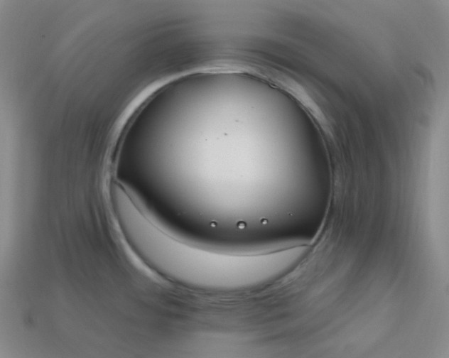X0000113921484200910090926