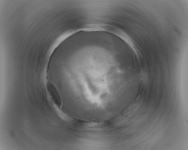 X0000113921485200910090926