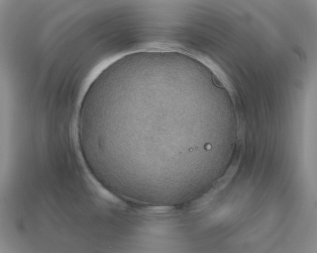 X0000113921486200910090926