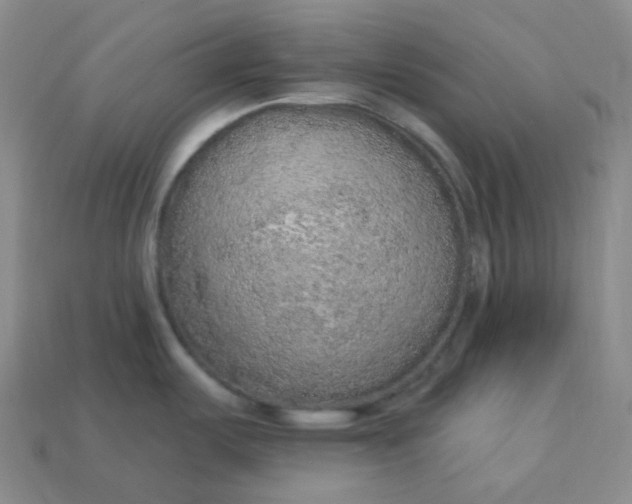 X0000113921487200910090926