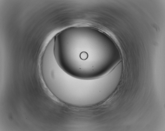X0000113921488200910090926