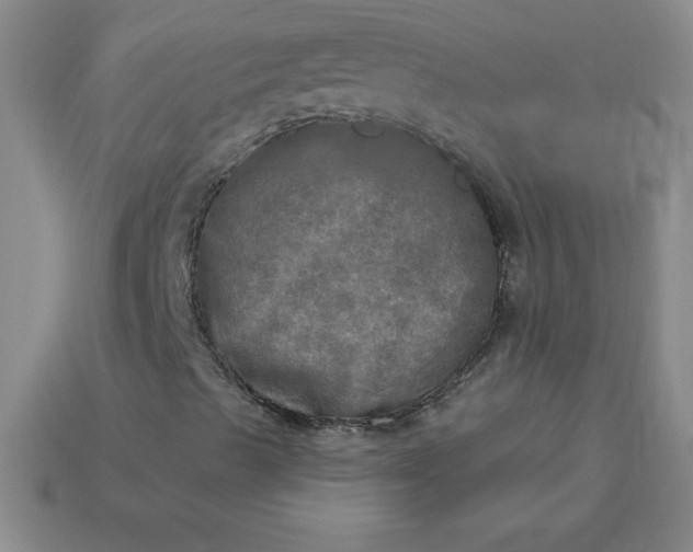 X0000113921489200910090925
