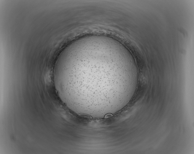 X0000113921490200910090925