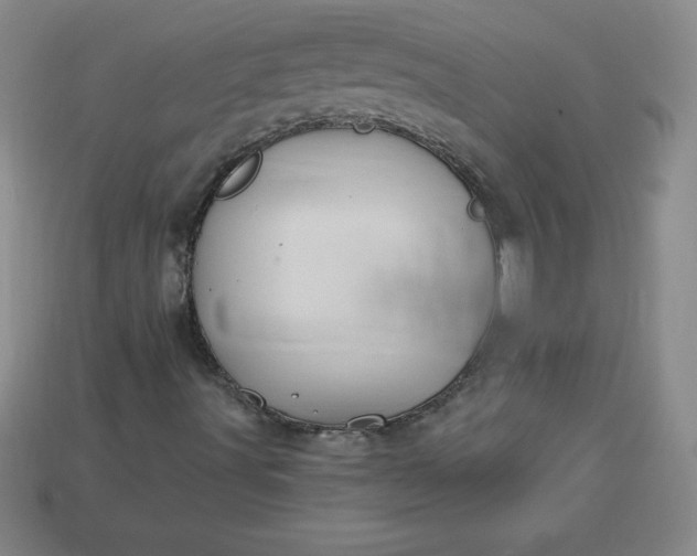 X0000113921491200910090925