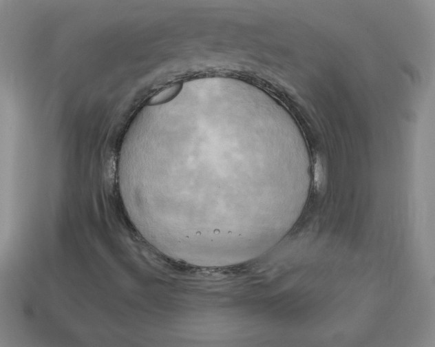 X0000113921492200910090925