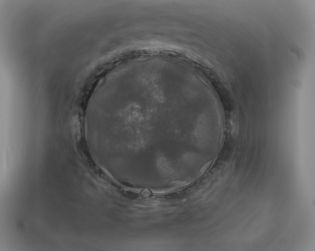 X0000113921493200910090925