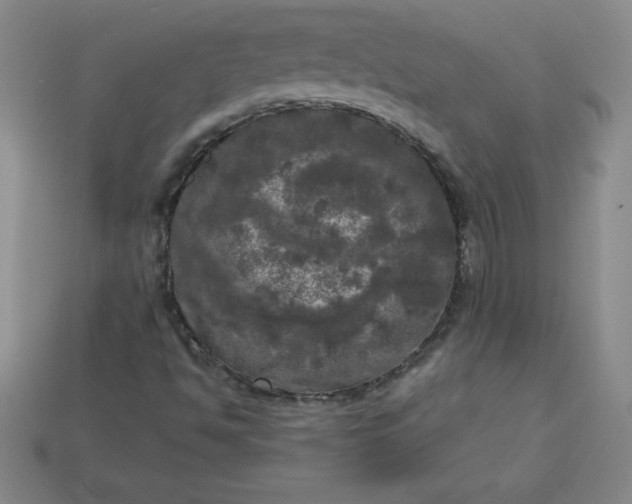 X0000113921494200910090925