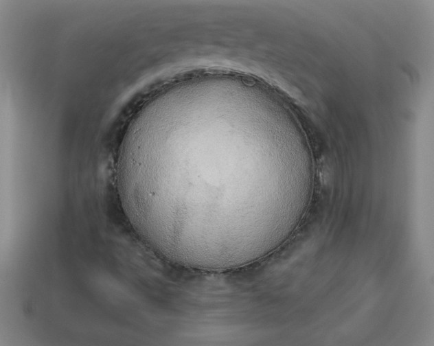 X0000113921495200910090925