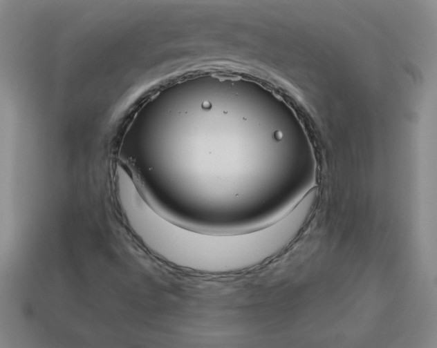 X0000113921496200910090925
