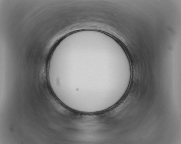 X0000113921498200910090925
