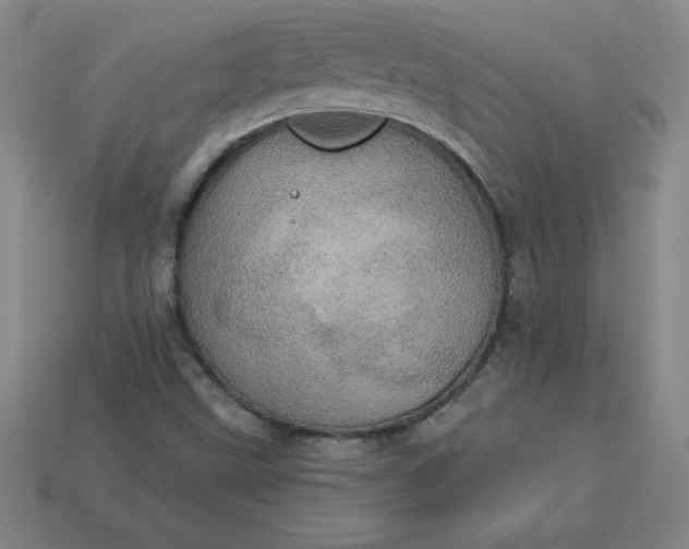 X0000113921499200910090925