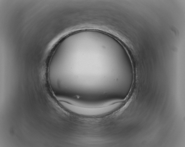 X0000113921502200910090925