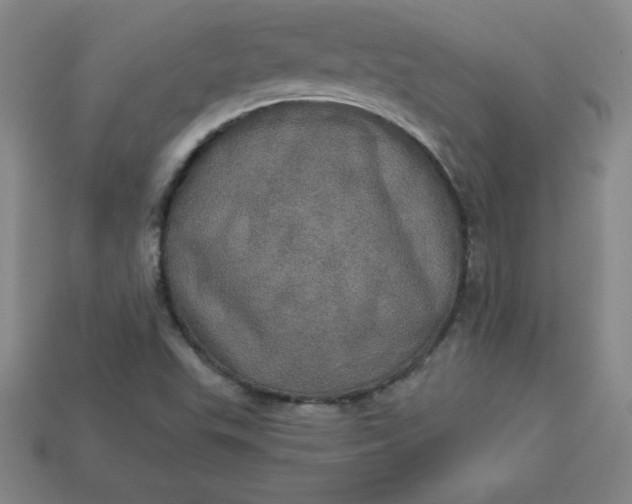 X0000113921503200910090925