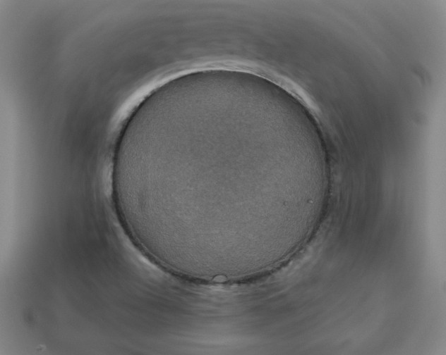 X0000113921504200910090925