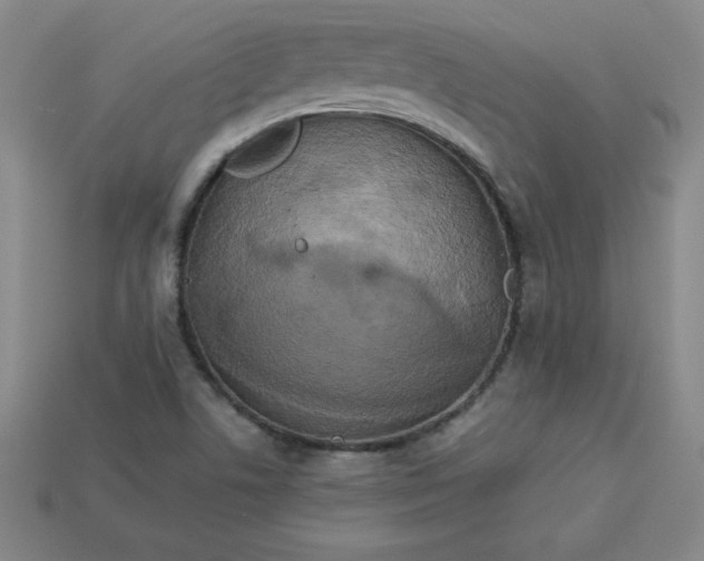 X0000113921506200910090925