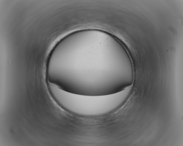 X0000113921508200910090925
