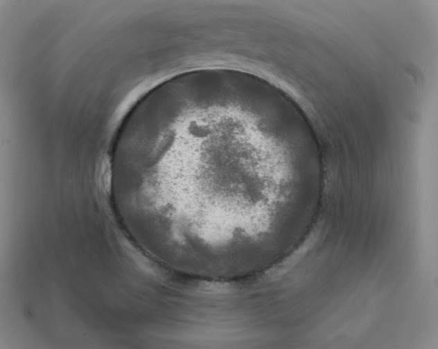 X0000113921509200910090925