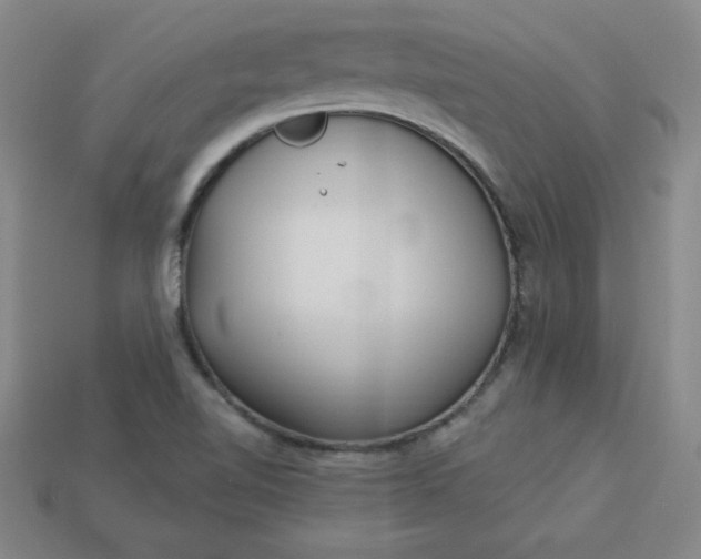 X0000113921510200910090925