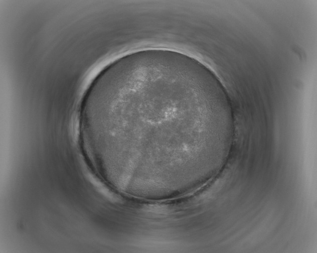 X0000113921511200910090925
